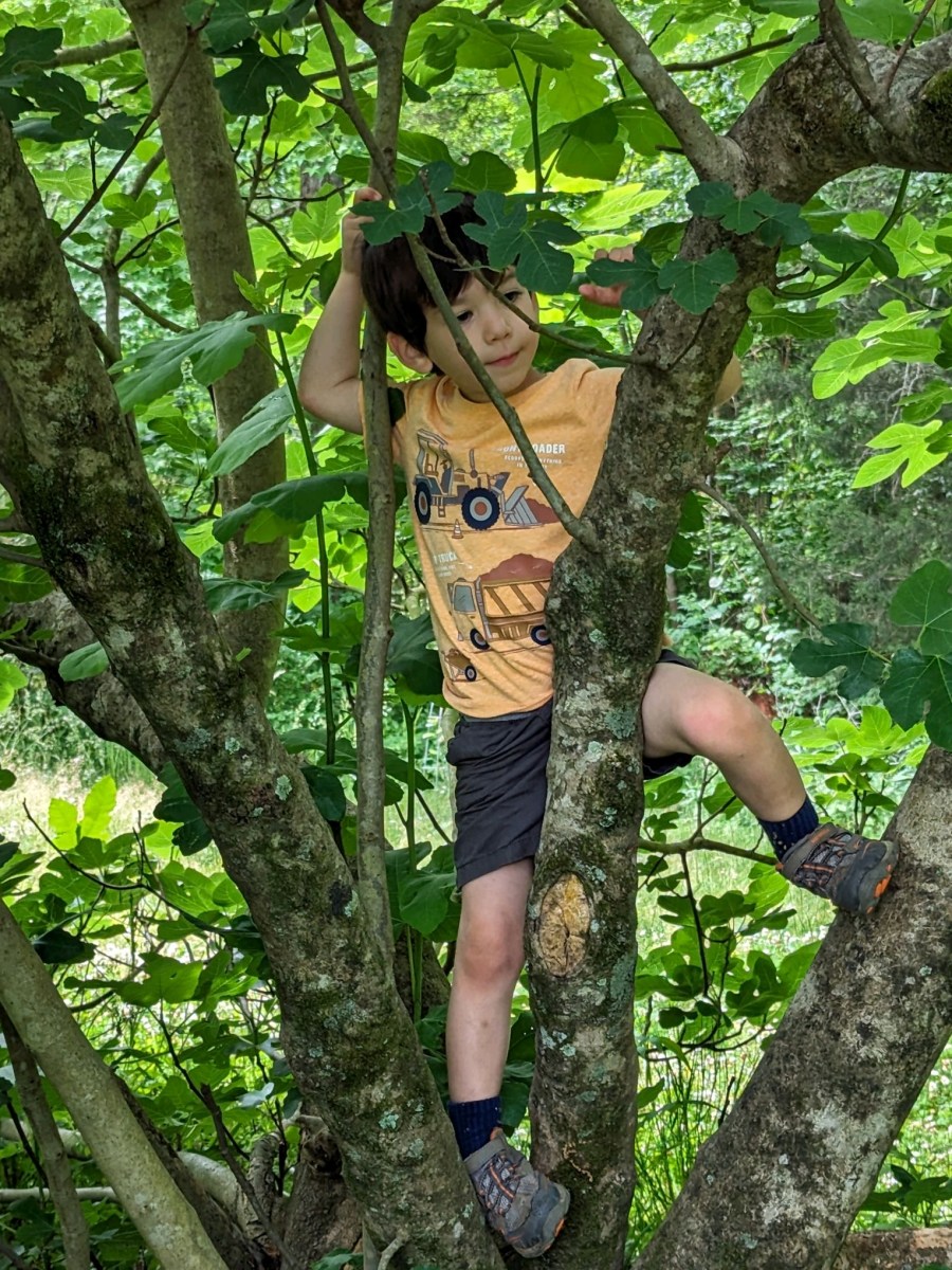 “Will Jesus let me fall?”