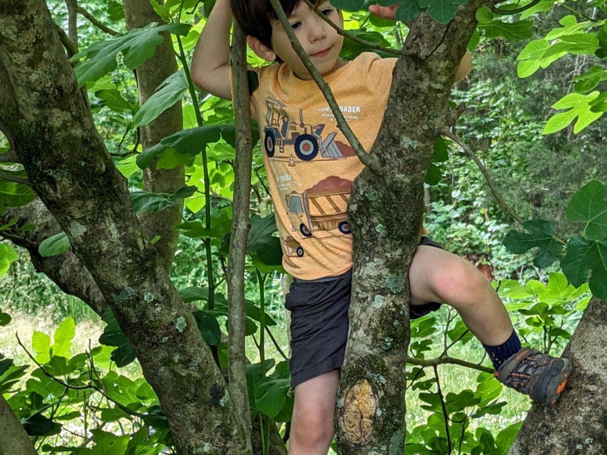 “Will Jesus let me fall?”